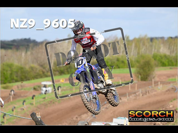 Experts-118