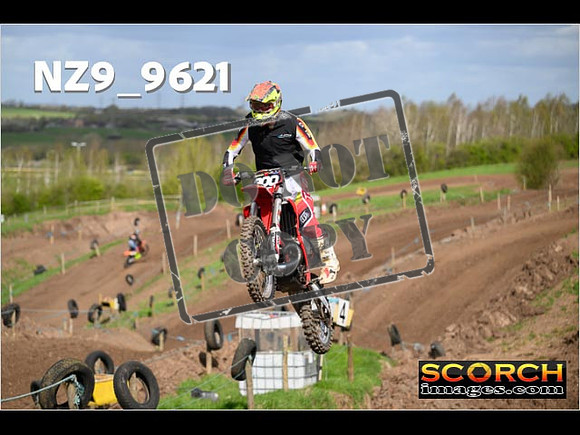 Experts-133