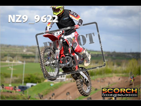 Experts-134