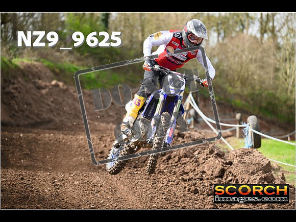 Experts-137