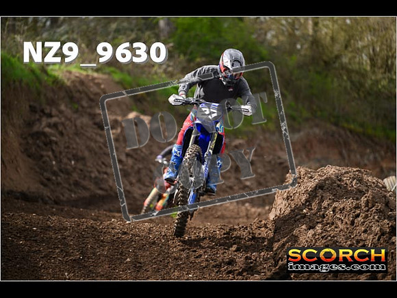 Experts-142