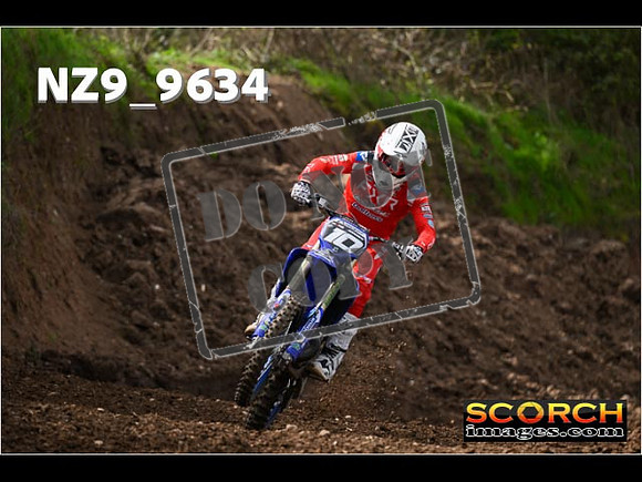 Experts-145