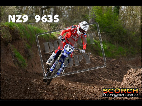 Experts-146
