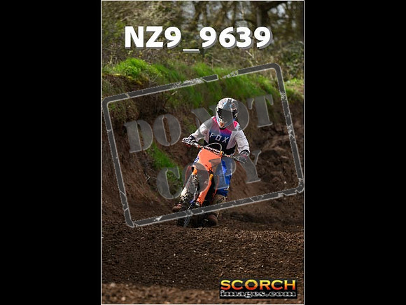 Experts-149