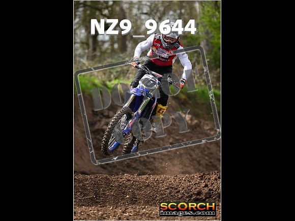 Experts-153