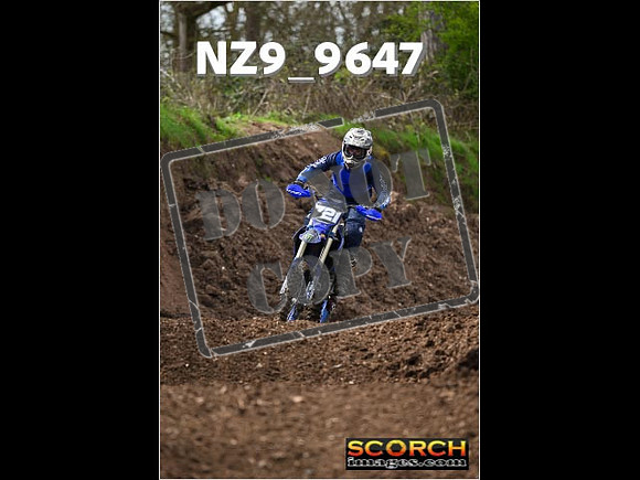 Experts-156