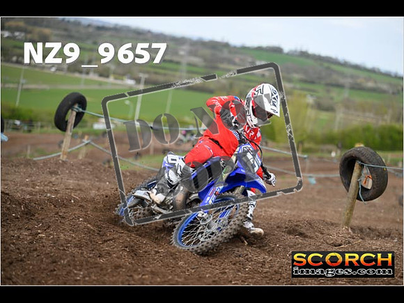 Experts-166