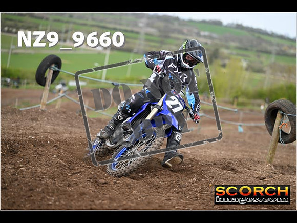 Experts-169