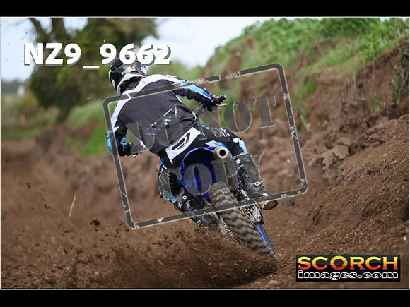 Experts-171