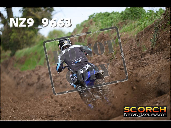 Experts-172