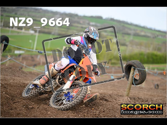 Experts-173