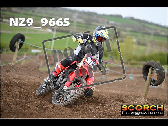 Experts-174