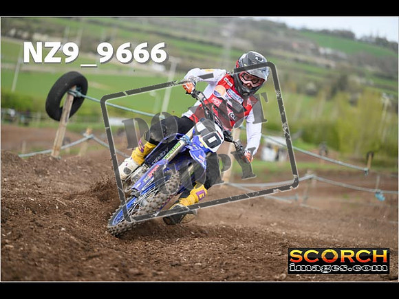 Experts-175