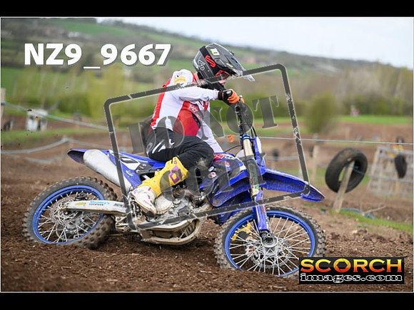 Experts-176