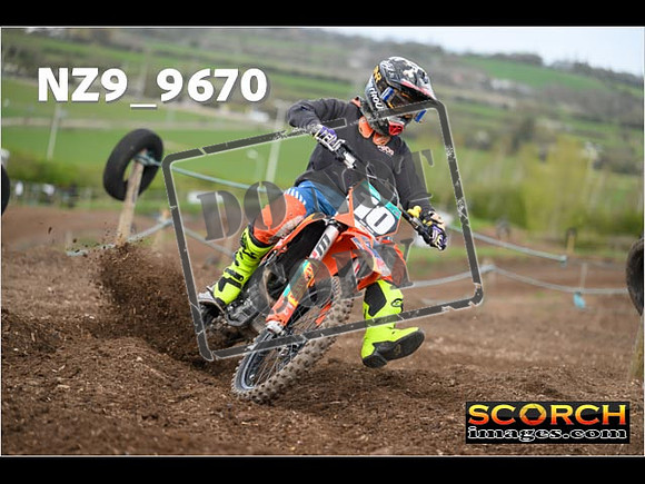 Experts-179