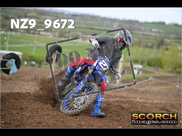 Experts-181