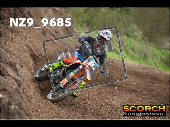Experts-194