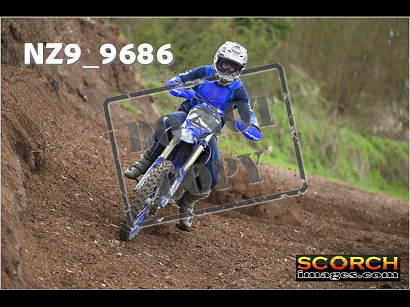 Experts-195