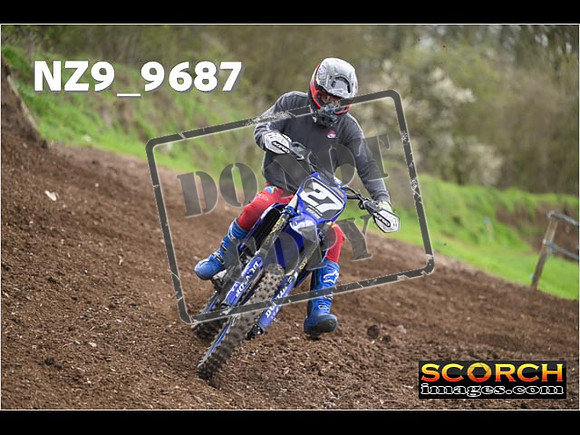 Experts-196