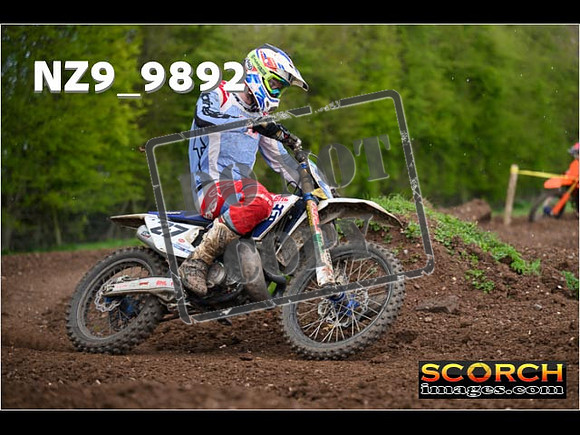 Experts-216