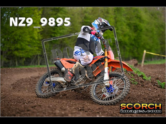 Experts-219