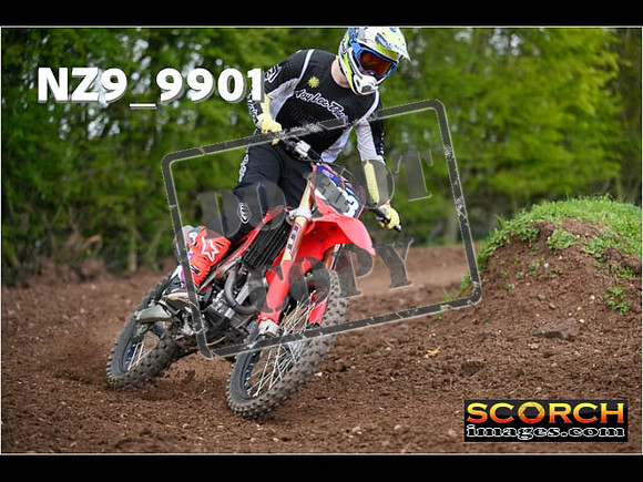 Experts-223