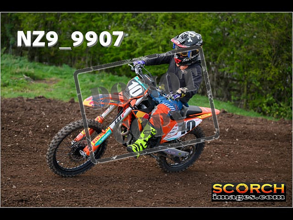 Experts-229