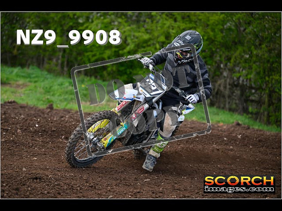 Experts-230