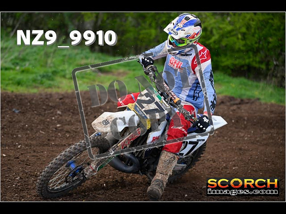 Experts-232