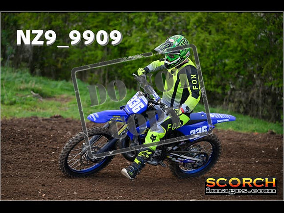 Experts-231