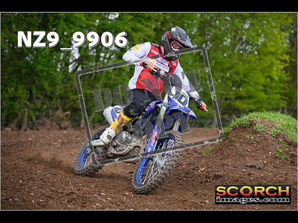 Experts-228