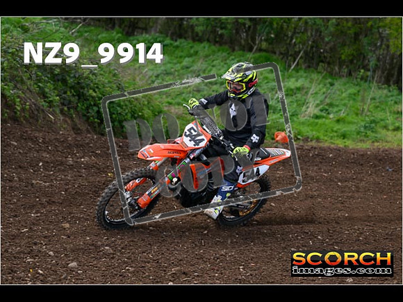 Experts-236