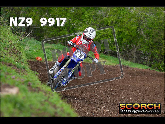 Experts-239