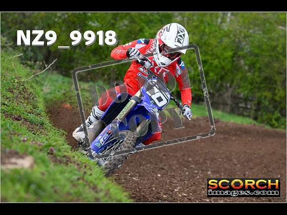 Experts-240