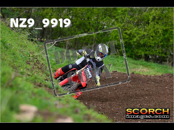 Experts-241