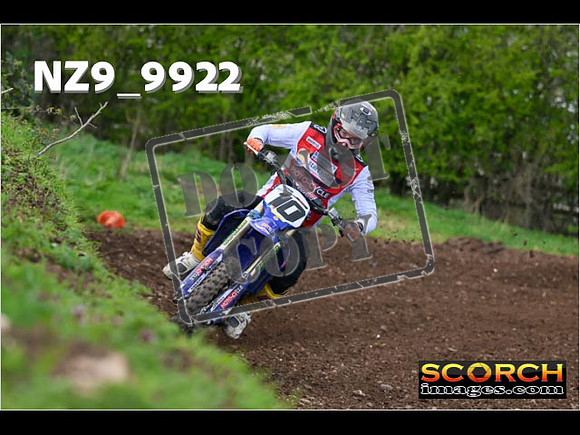 Experts-244