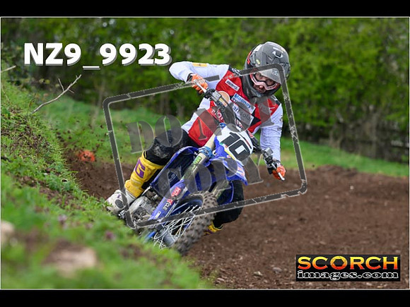 Experts-245