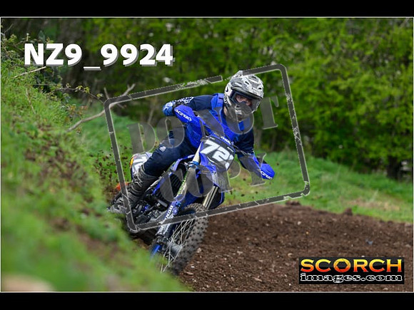 Experts-246