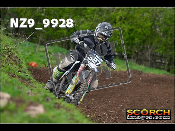 Experts-250