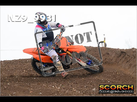 Experts-253