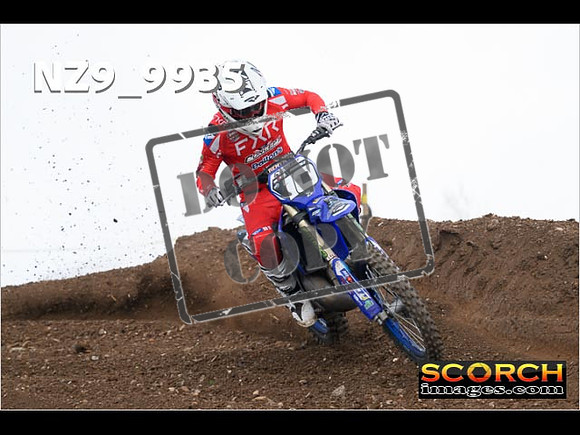 Experts-257