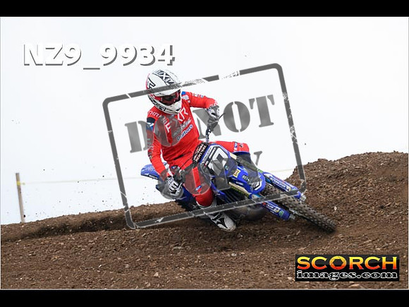 Experts-256