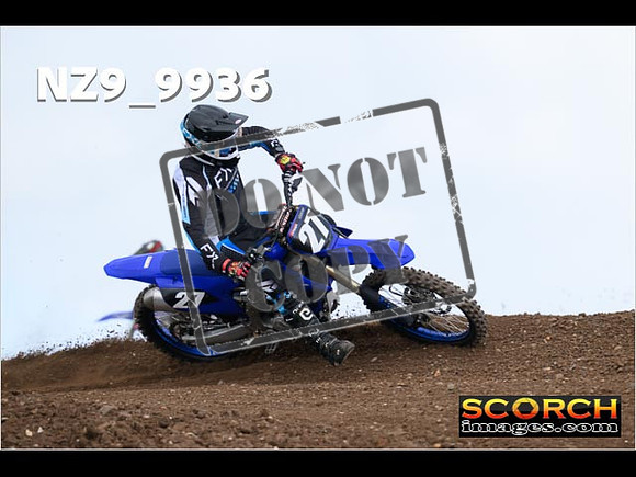 Experts-258