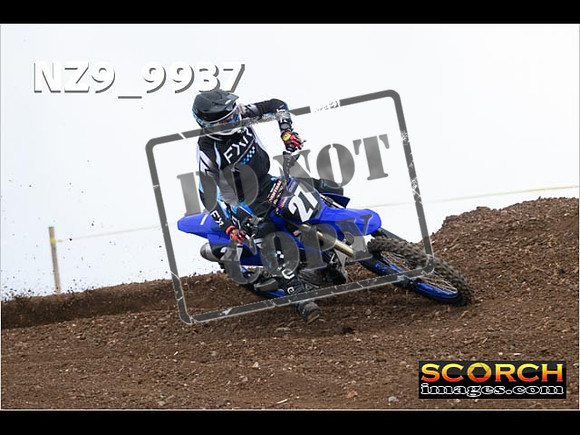 Experts-259