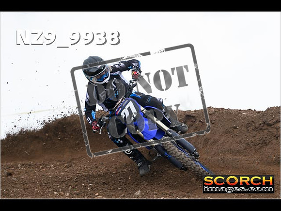 Experts-260