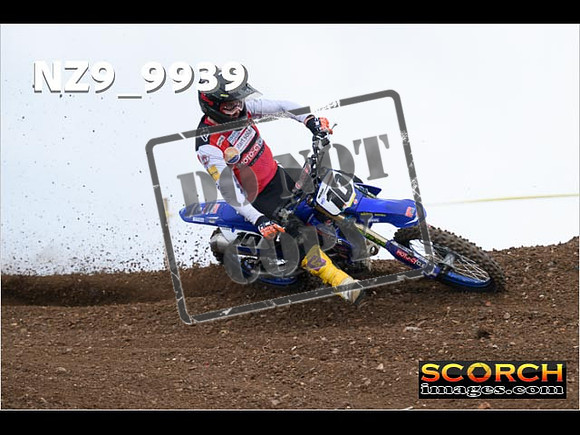 Experts-261