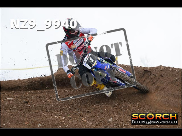 Experts-262