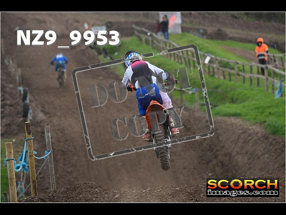 Experts-275