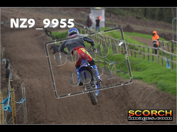 Experts-277