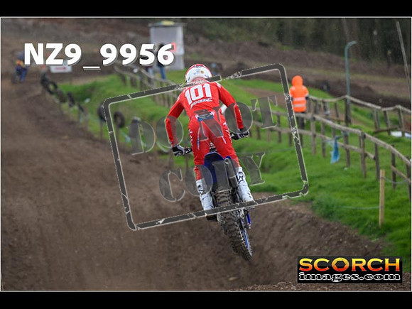 Experts-278
